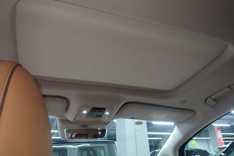 Used Denza D9 2022 DM-i 970 Four-Wheel Drive Prestige Model Headliner