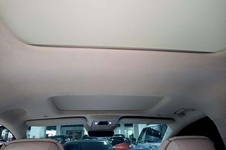Used Denza D9 2022 DM-i 970 Four-Wheel Drive Flagship Model Headliner