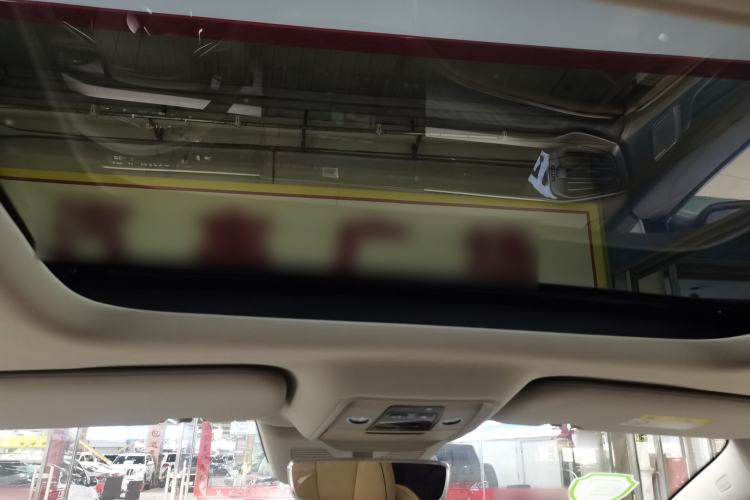 Used Denza D9 2022 DM-i 1040 Prestige Model Headliner
