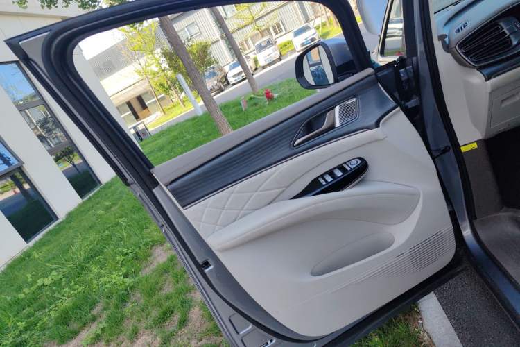 Used Denza D9 2022 DM-i 970 Four-Wheel Drive Flagship Model Left Front Door Interior