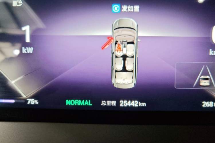 Used Denza D9 2022 DM-i 970 Four-Wheel Drive Flagship Model Odometer Close Up