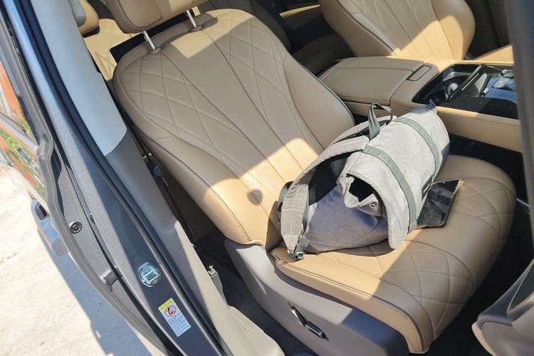 Used Denza D9 2022 EV 600 Four-Wheel Drive Flagship Model Right Front Seat