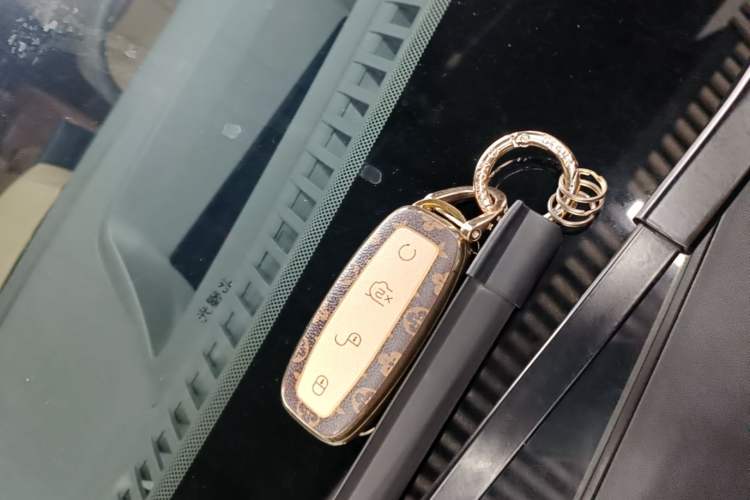 Used Denza D9 2022 DM-i 970 Four-Wheel Drive Flagship Model Vehicle Key