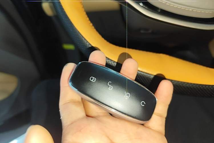 Used Denza D9 2022 DM-i 1040 Prestige Model Vehicle Key