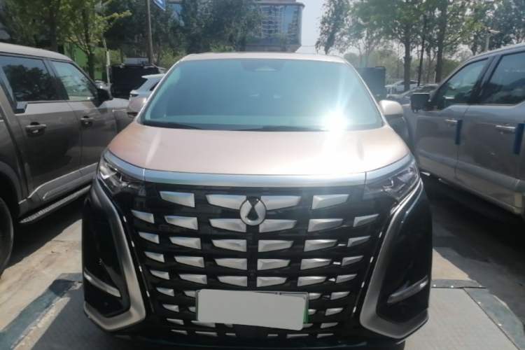 Used Denza D9 2022 DM-i 970 Four-Wheel Drive Flagship Model Front