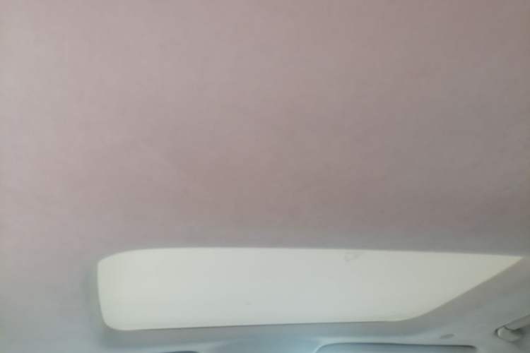 Used Denza D9 2022 DM-i 970 Four-Wheel Drive Flagship Model Headliner