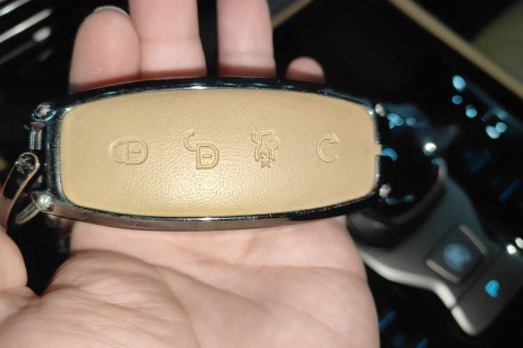 Used Denza D9 2022 DM-i 970 Four-Wheel Drive Flagship Model Interior 1