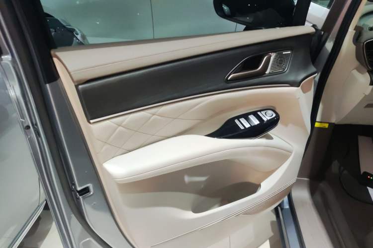Used Denza D9 2022 DM-i 970 Four-Wheel Drive Flagship Model Left Front Door Interior