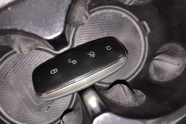 Used Denza D9 2022 DM-i 1040 Prestige Model Vehicle Key