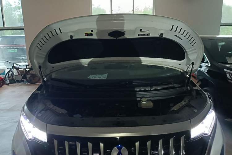 Used Denza D9 2022 EV 620 Prestige Model Engine Bay