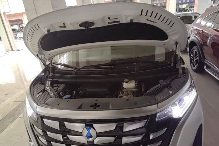 Used Denza D9 2022 DM-i 1040 Prestige Model Engine Bay