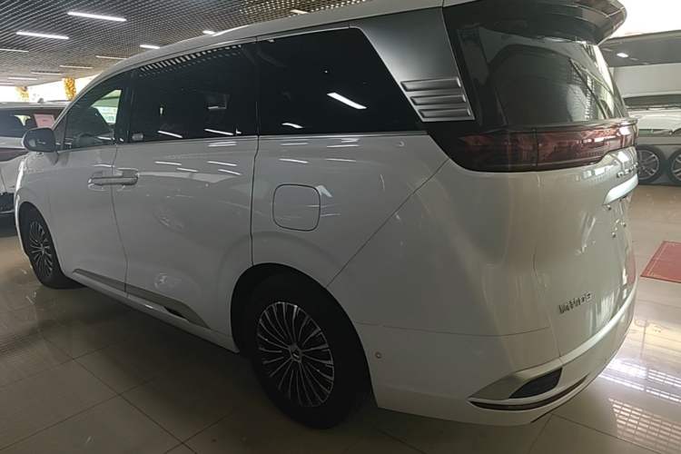 Used Denza D9 2022 DM-i 970 Four-Wheel Drive Flagship Model Exterior 2