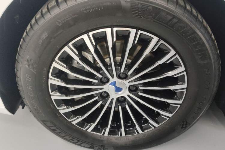 Used Denza D9 2022 DM-i 970 Four-Wheel Drive Prestige Model Exterior 4
