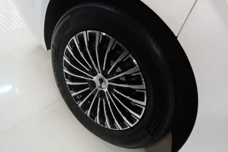 Used Denza D9 2022 DM-i 970 Four-Wheel Drive Prestige Model Exterior 5