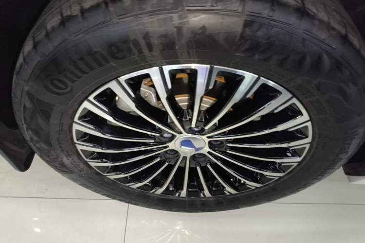 Used Denza D9 2022 DM-i 970 Four-Wheel Drive Flagship Model Exterior 5