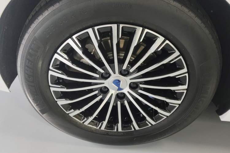 Used Denza D9 2022 DM-i 970 Four-Wheel Drive Prestige Model Exterior 5