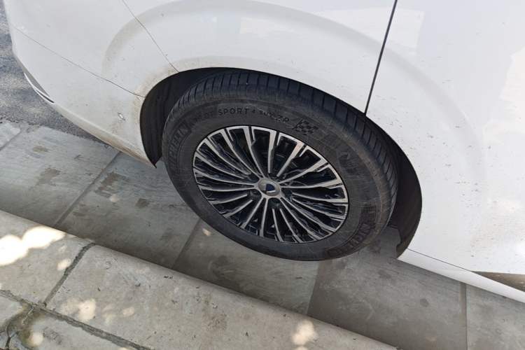 Used Denza D9 2022 DM-i 970 Four-Wheel Drive Flagship Model Exterior 5