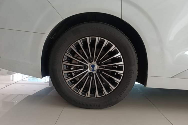 Used Denza D9 2022 DM-i 970 Four-Wheel Drive Prestige Model Exterior 5