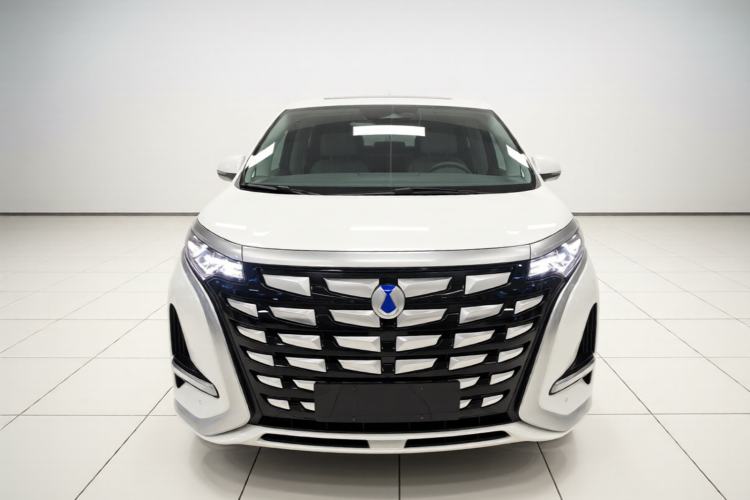 Used Denza D9 2022 DM-i 1040 Prestige Model Front