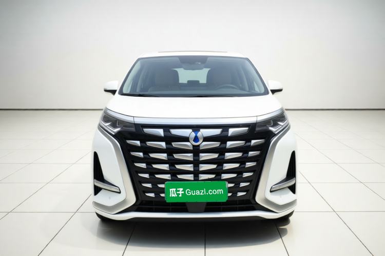 Used Denza D9 2022 DM-i 1040 Prestige Model Front
