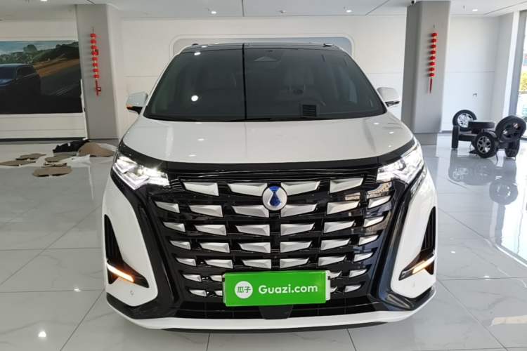 Used Denza D9 2022 DM-i 970 Four-Wheel Drive Prestige Model Front