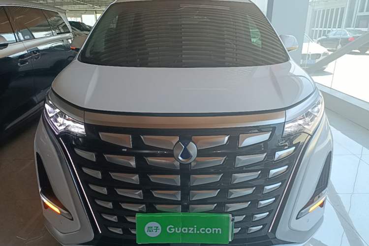 Used Denza D9 2022 DM-i 970 Four-Wheel Drive Flagship Model Front