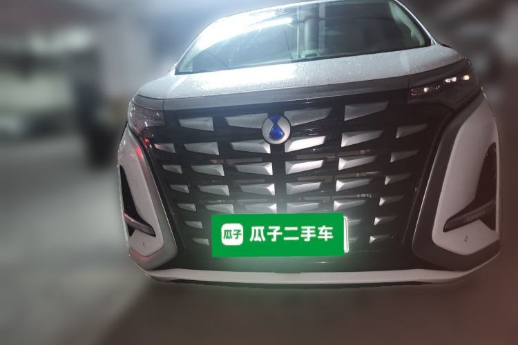 Used Denza D9 2022 DM-i 970 Four-Wheel Drive Flagship Model Front