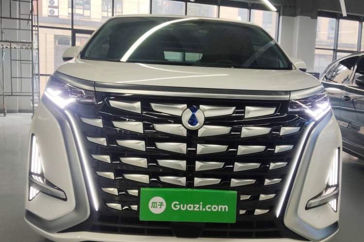 Used Denza D9 2022 DM-i 970 Four-Wheel Drive Prestige Model Front