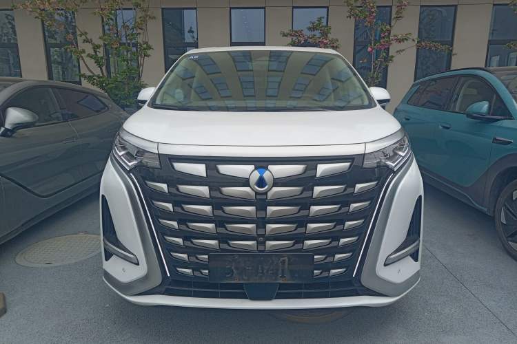 Used Denza D9 2022 DM-i 970 Four-Wheel Drive Flagship Model Front