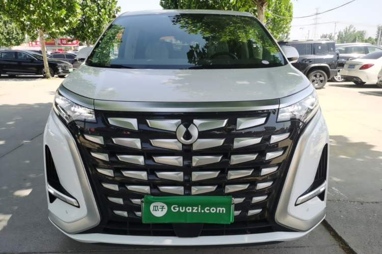 Used Denza D9 2022 DM-i 1040 Prestige Model Front