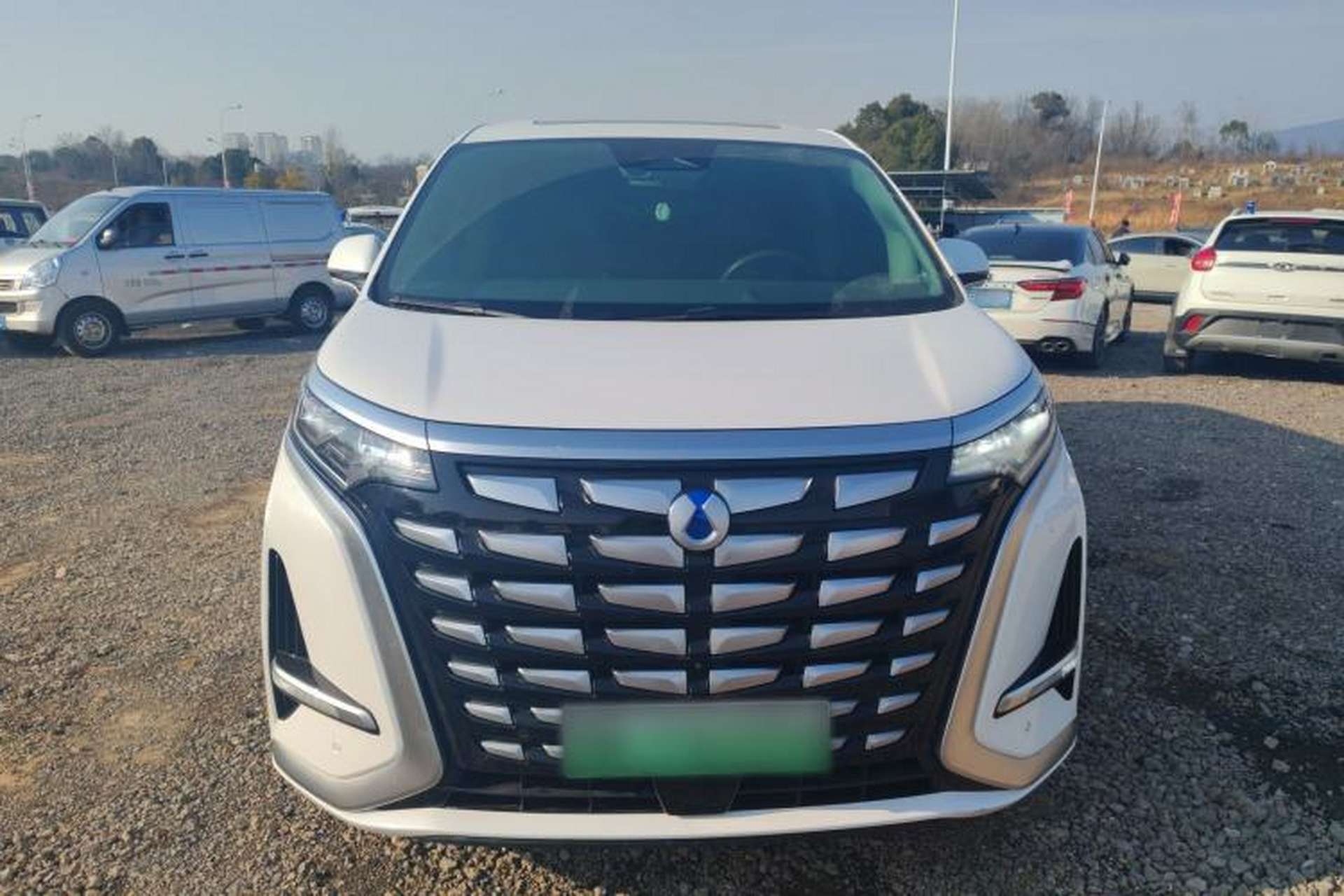 Used Denza D9 2022 DM-i 970 Four-Wheel Drive Prestige Model Front