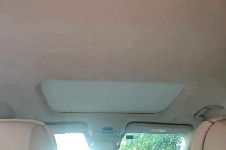 Used Denza D9 2022 DM-i 970 Four-Wheel Drive Flagship Model Headliner