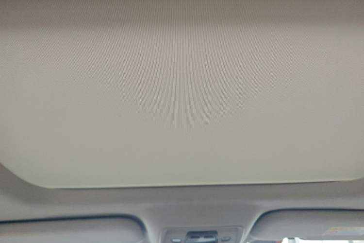 Used Denza D9 2022 DM-i 970 Four-Wheel Drive Flagship Model Headliner