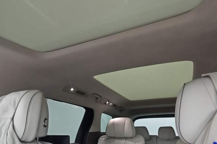 Used Denza D9 2022 DM-i 970 Four-Wheel Drive Flagship Model Headliner