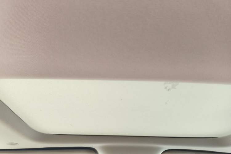 Used Denza D9 2022 DM-i 1040 Prestige Model Headliner
