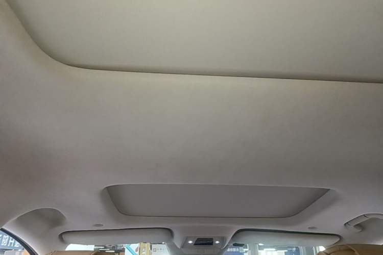 Used Denza D9 2022 EV 600 Four-Wheel Drive Flagship Model Headliner