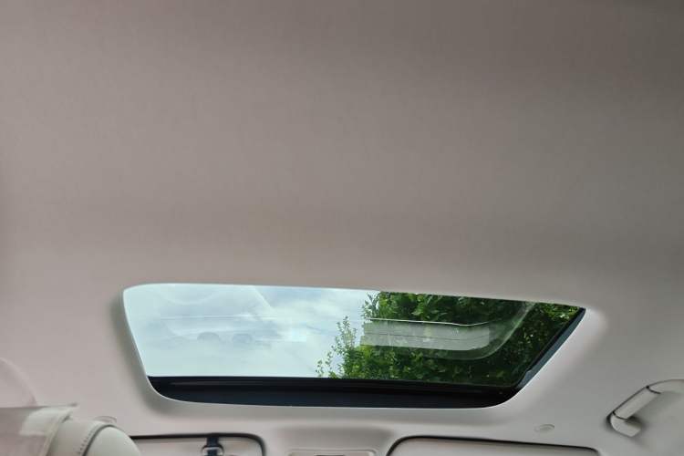 Used Denza D9 2022 DM-i 970 Four-Wheel Drive Prestige Model Headliner