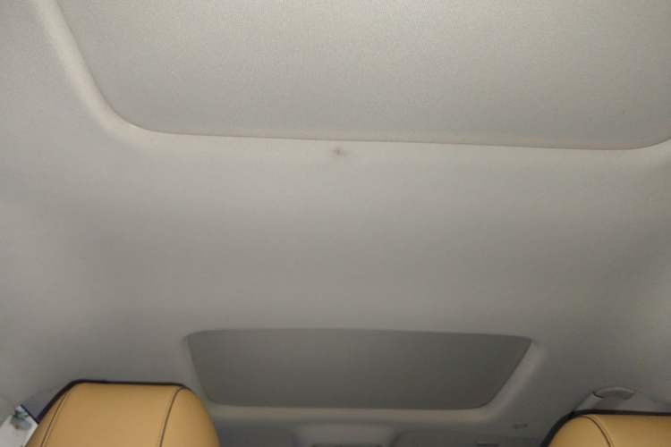 Used Denza D9 2022 DM-i 1040 Prestige Model Headliner
