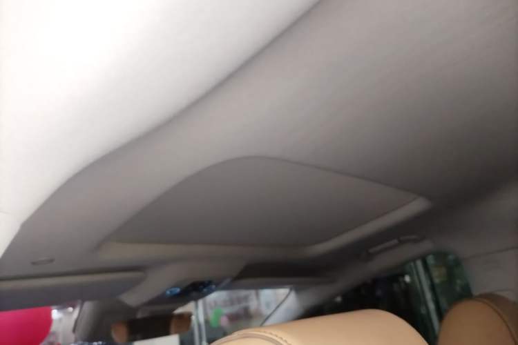 Used Denza D9 2022 DM-i 1040 Prestige Model Headliner