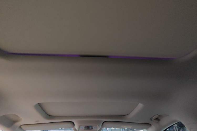Used Denza D9 2022 DM-i 1040 Prestige Model Headliner