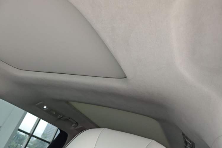 Used Denza D9 2022 DM-i 970 Four-Wheel Drive Flagship Model Headliner