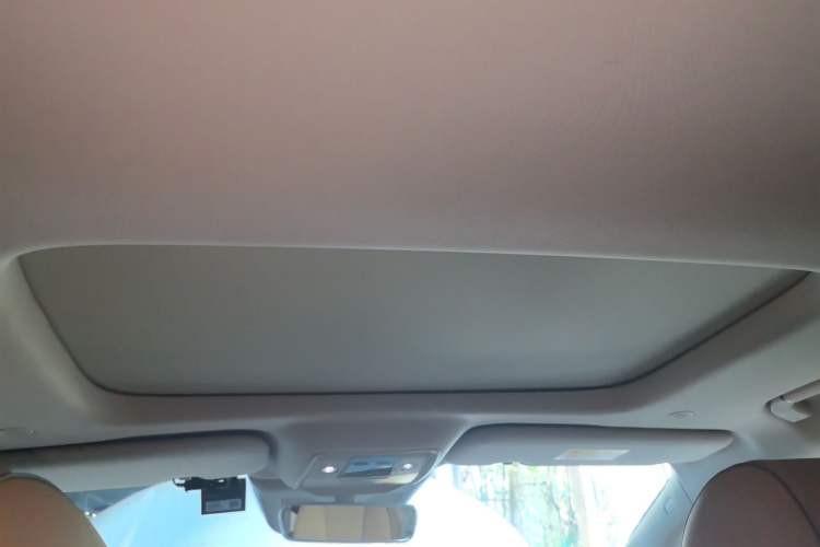 Used Denza D9 2022 DM-i 970 Four-Wheel Drive Prestige Model Headliner