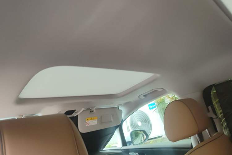 Used Denza D9 2022 DM-i 1040 Prestige Model Headliner