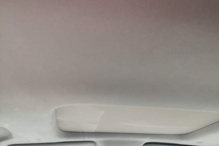 Used Denza D9 2022 DM-i 970 Four-Wheel Drive Flagship Model Headliner