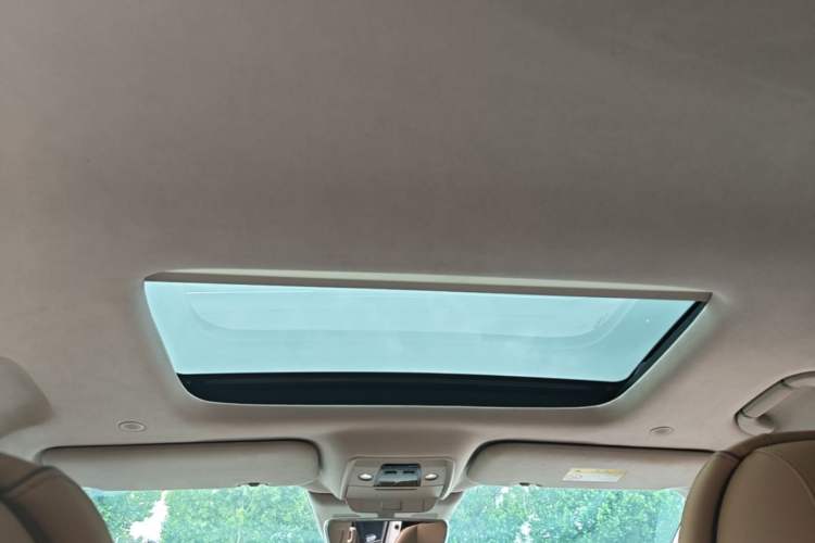 Used Denza D9 2022 DM-i 970 Four-Wheel Drive Flagship Model Headliner