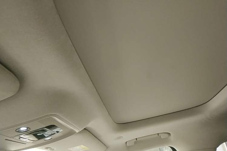 Used Denza D9 2022 DM-i 970 Four-Wheel Drive Flagship Model Headliner