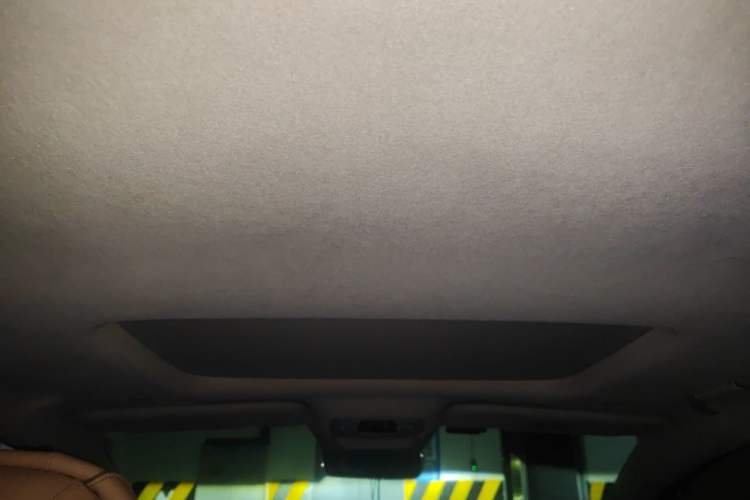 Used Denza D9 2022 DM-i 970 Four-Wheel Drive Flagship Model Headliner
