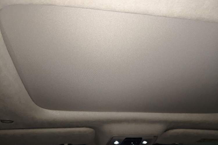 Used Denza D9 2022 DM-i 970 Four-Wheel Drive Flagship Model Headliner
