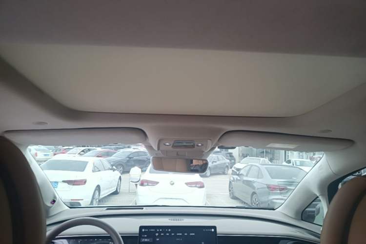 Used Denza D9 2022 DM-i 970 Four-Wheel Drive Flagship Model Headliner
