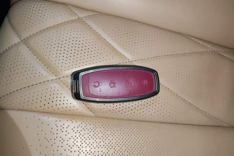 Used Denza D9 2022 DM-i 1040 Prestige Model Interior 1